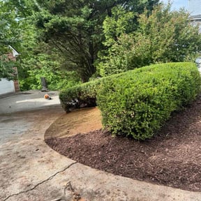 Mulching by LOCAL Landscaping & Lawn Maintenance reviewed on November 9, 2022