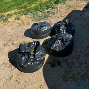 Cleanups by Alpineserv reviewed on August 10, 2024