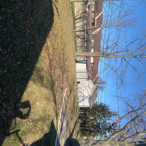 Leaf Removal by Allen's Lawn Care reviewed on June 20, 2024