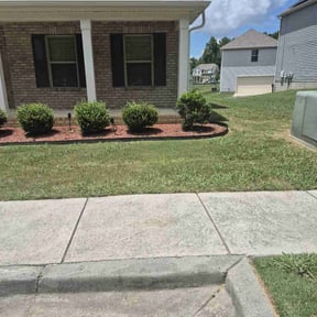 Weeding by Green T's Lawn & Landscape reviewed on April 19, 2025