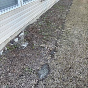 Cleanups by Matt’s lawn care reviewed on July 28, 2022