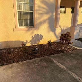 Weeding by Sifu Lawn and Services reviewed on June 2, 2022