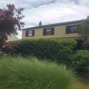 Bush Trimming by Walt's Lawn Care reviewed on June 14, 2022