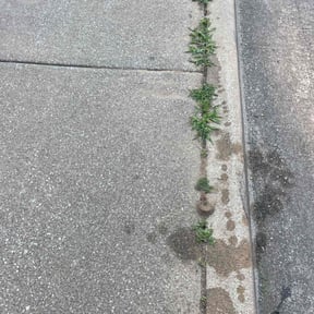 Weeding by Goetz Lawn Care reviewed on December 4, 2020