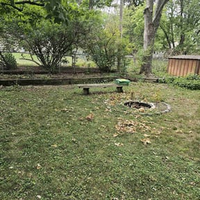 Cleanups by Olympus Outdoor Services reviewed on November 6, 2024