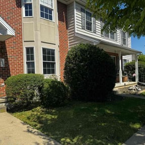 Bush Trimming by Untouchables lawncare reviewed on June 28, 2022