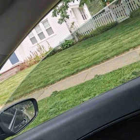 Weeding by Martin Mows reviewed on September 2, 2021