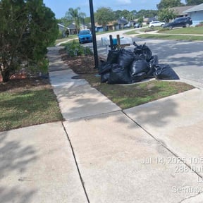 Leaf Removal by Ninja Cutter Inc. reviewed on November 22, 2022