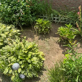 Flower Bed Weeding by King&#039;s Scapes of Atlanta LLC reviewed on November 22, 2024