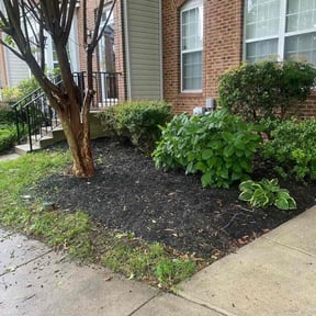 Cleanups by brett b landscaping reviewed on December 2, 2024