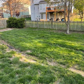 Cleanups by LSLTDallas/FortWorthTruGreen reviewed on October 14, 2024