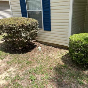 Bush Trimming by Round the world lawn care reviewed on December 8, 2024