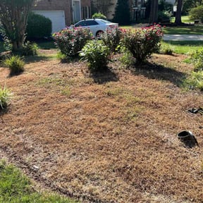 Flower Bed Weeding by Stream Scene Landscaping reviewed on August 31, 2024