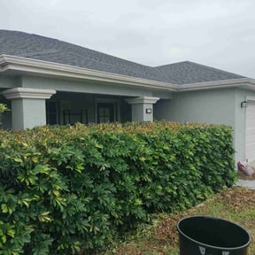 Bush Trimming by Lawn pros. reviewed on April 18, 2023