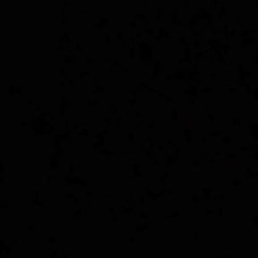 Bush Trimming by Little Flower Home Service reviewed on June 22, 2025