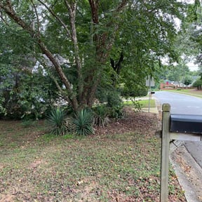 Cleanups by Legacy Lawn Services reviewed on June 23, 2022
