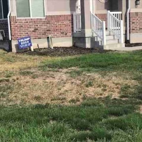Flower Bed Weeding by T moving and hauling reviewed on April 17, 2022