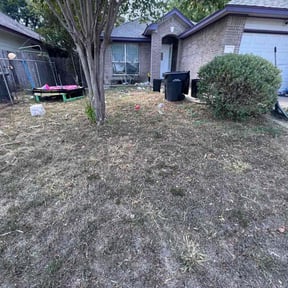 Bush Trimming by Top Gun Cleaners reviewed on October 8, 2024