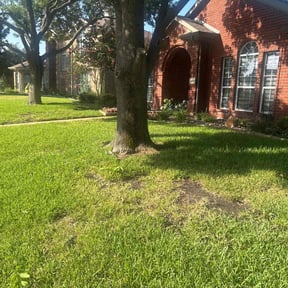 Bush Trimming by Yards Done Daily reviewed on November 17, 2022