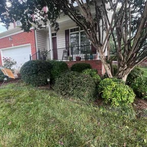 Bush Trimming by HC Landscaping reviewed on December 4, 2024