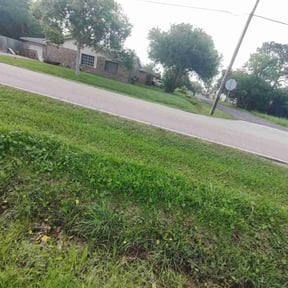 Cleanups by Tyler’s lawn care reviewed on June 10, 2022