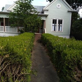 Bush Trimming by Man Power Home Repairs reviewed on July 29, 2021
