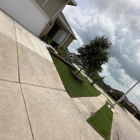 Bush Trimming by Razo Rigo landscaping reviewed on February 22, 2022