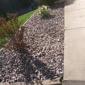 Landscaping by Dels Mow, Blow, and snow removal reviewed on July 7, 2025