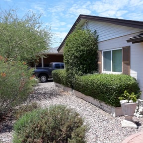 Bush Trimming by Smiley's Landscaping LLC reviewed on August 11, 2025