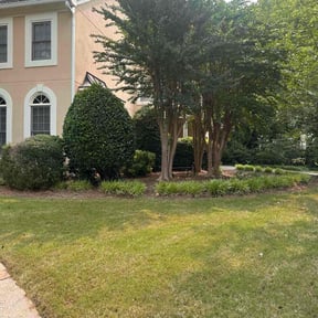 Bush Trimming by Muscles 4 hire landscaping & lawncare reviewed on June 16, 2022
