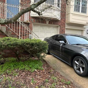 Bush Trimming by Fortanel lanscaping reviewed on March 7, 2022