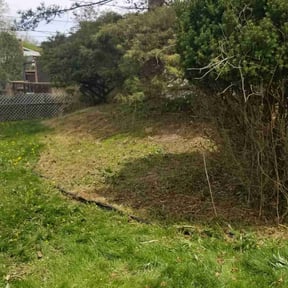 Leaf Removal by C Lawncare Plus reviewed on December 24, 2024