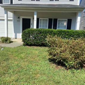 Bush Trimming by Grass gang reviewed on May 9, 2025