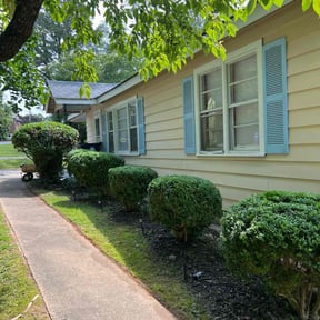 Bush Trimming by Ryan's Mowing LLC reviewed on August 9, 2022