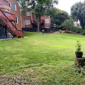 Bush Trimming by Green Grazers reviewed on July 14, 2022