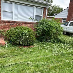 Bush Trimming by AP Landscapers reviewed on September 3, 2024