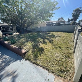 Leaf Removal by Terra Verde Landscape &amp; Design reviewed on July 8, 2025