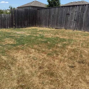 Cleanups by Abel Baeza reviewed on September 3, 2022