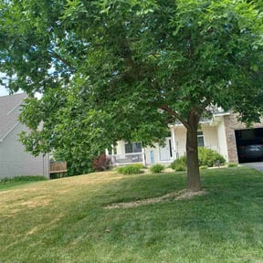 Leaf Removal by JG Lawn Care reviewed on August 4, 2022