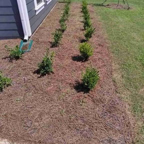 Flower Bed Weeding by ESPINOSA JE LANDSCAPING LLC reviewed on July 18, 2022