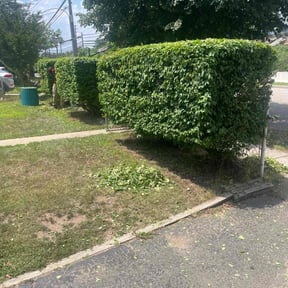 Bush Trimming by LaserEdge Mowing reviewed on June 9, 2022