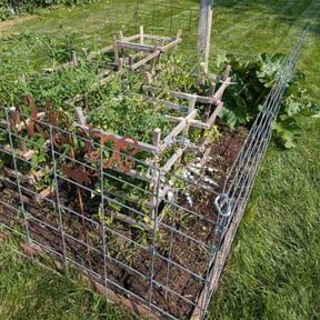 Flower Bed Weeding by Chai reviewed on June 27, 2022