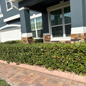 Bush Trimming by G Infinite Solution LLC reviewed on December 6, 2022