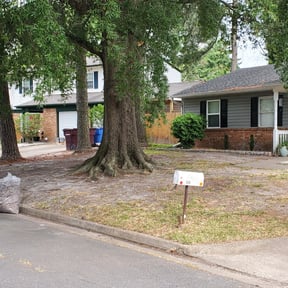 Cleanups by Active Lawn Care &amp; Landscapes reviewed on April 19, 2025