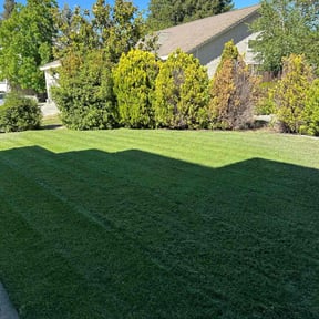 Bush Trimming by Rocking J Lawn Care reviewed on May 14, 2022