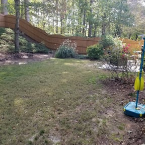 Leaf Removal by Sage LLC reviewed on July 3, 2025