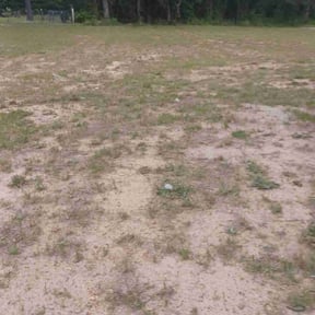 Cleanups by Smith landscaping reviewed on May 24, 2022