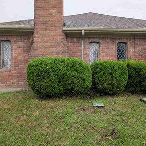 Bush Trimming by No Moore Grass reviewed on June 30, 2022