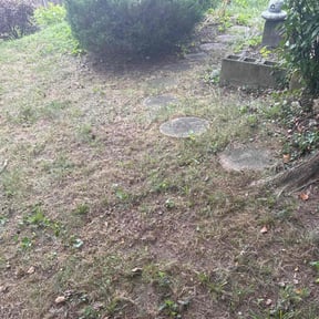 Leaf Removal by Carbon Dioxide Recyclers reviewed on April 28, 2025