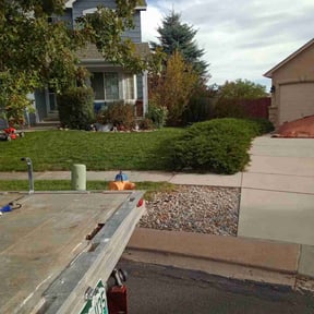 Bush Trimming by Essentailwaterworkssolutionsllc reviewed on May 22, 2025